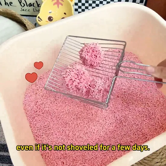 100-240VAC Mobile Phone Famous Brand Fast Delivery Modernization 12V1.25A Switching Power Charger